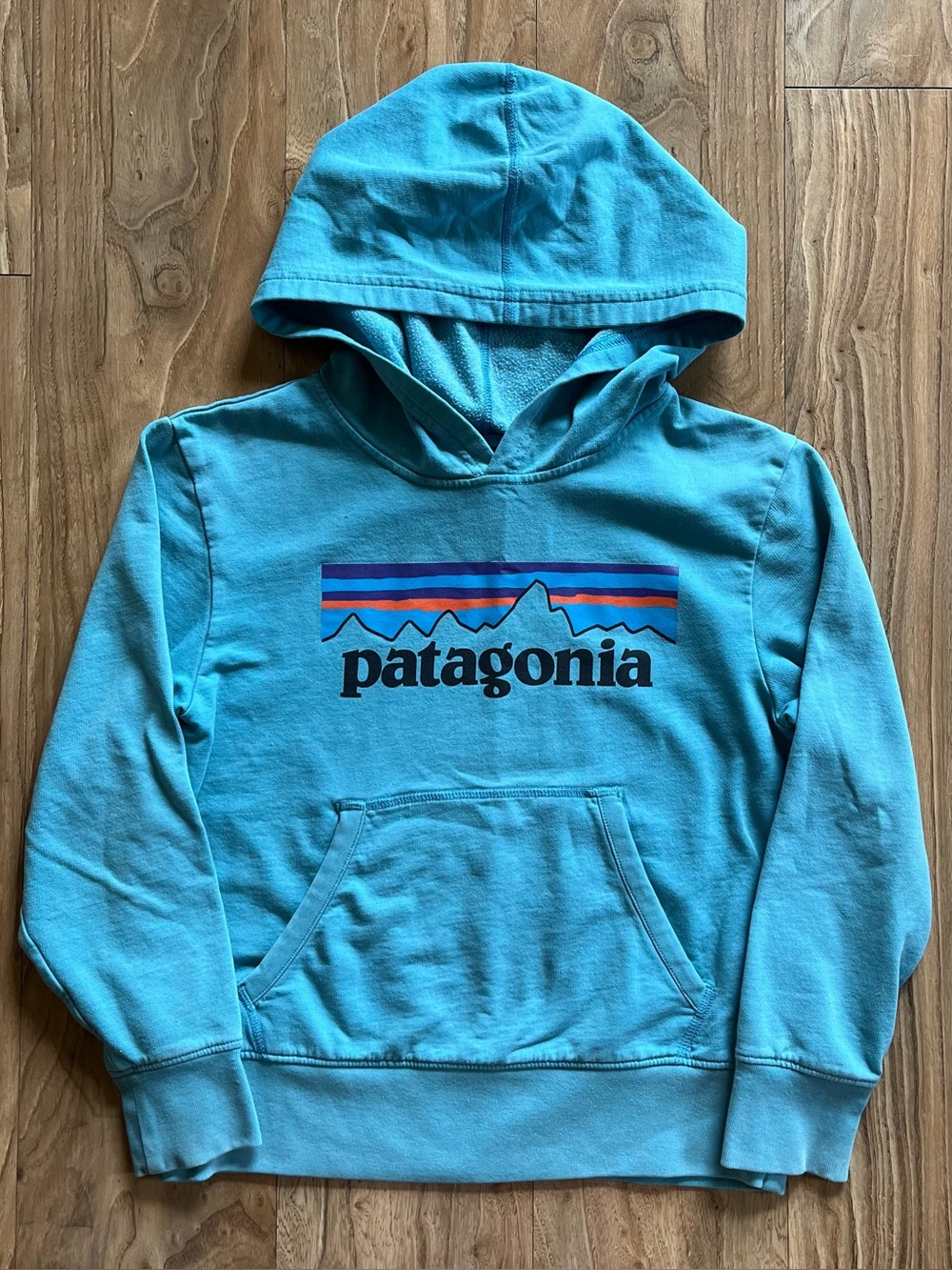 Patagonia Kid's P-6 Label hoodie